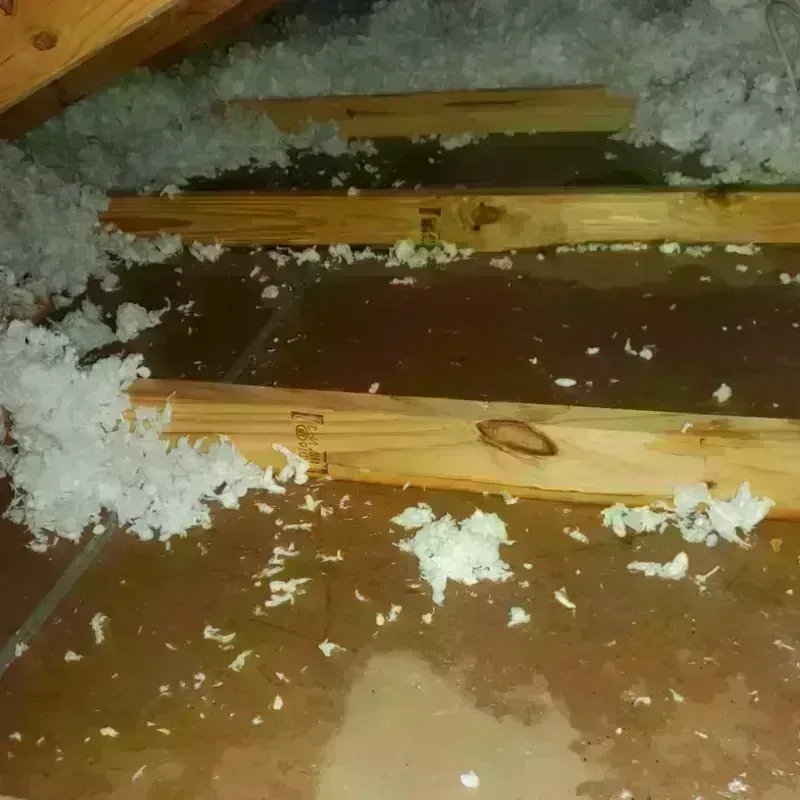 Attic Water Damage in Sumner, IL