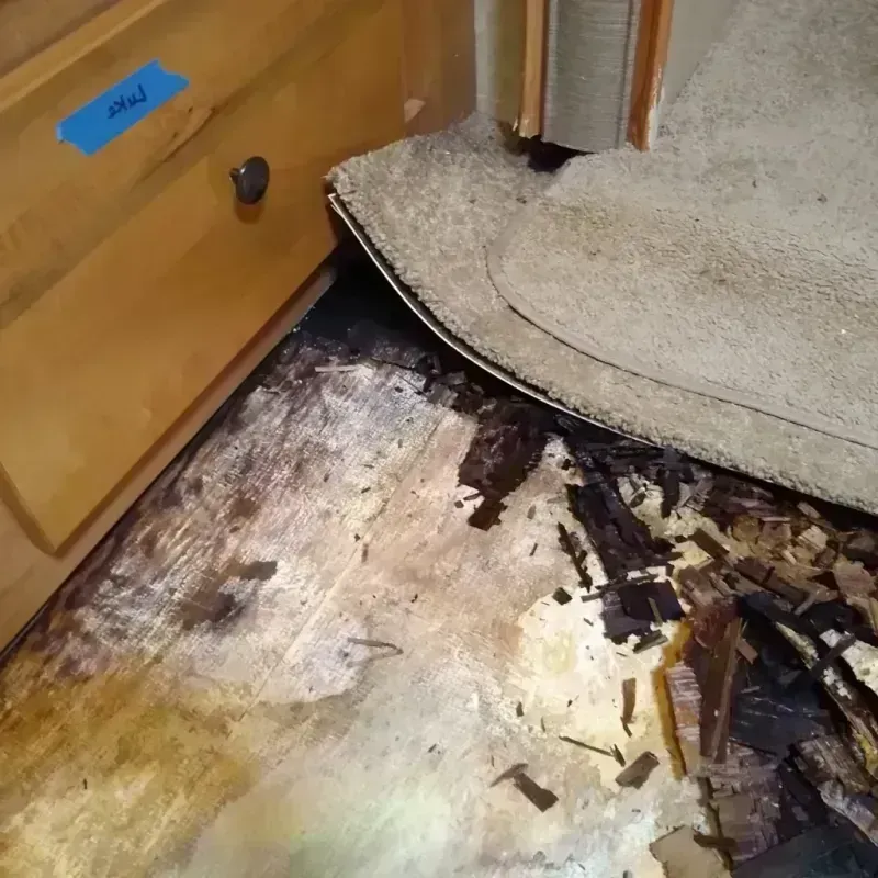 Wood Floor Water Damage in Sumner, IL